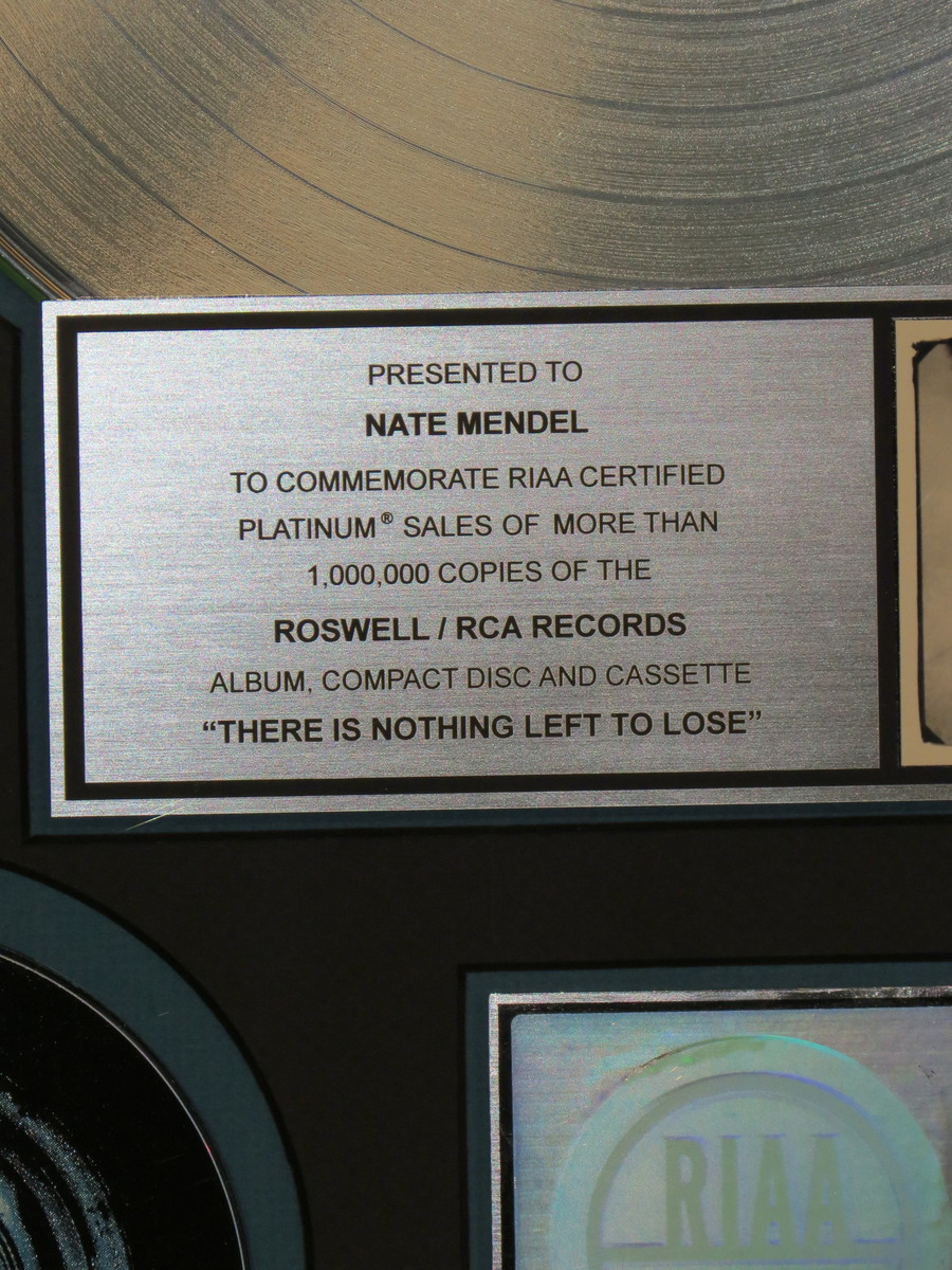 There's nothing left to lose RIAA Platinum Award Presented To Nate Mendel