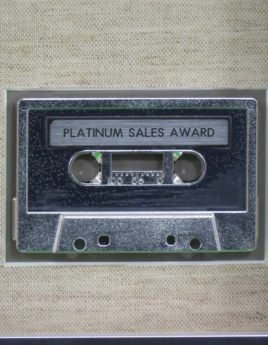 Lost Dogs RIAA Platinum Award